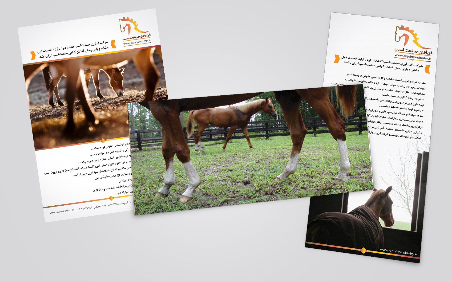 Equineindustry , sepanj studio