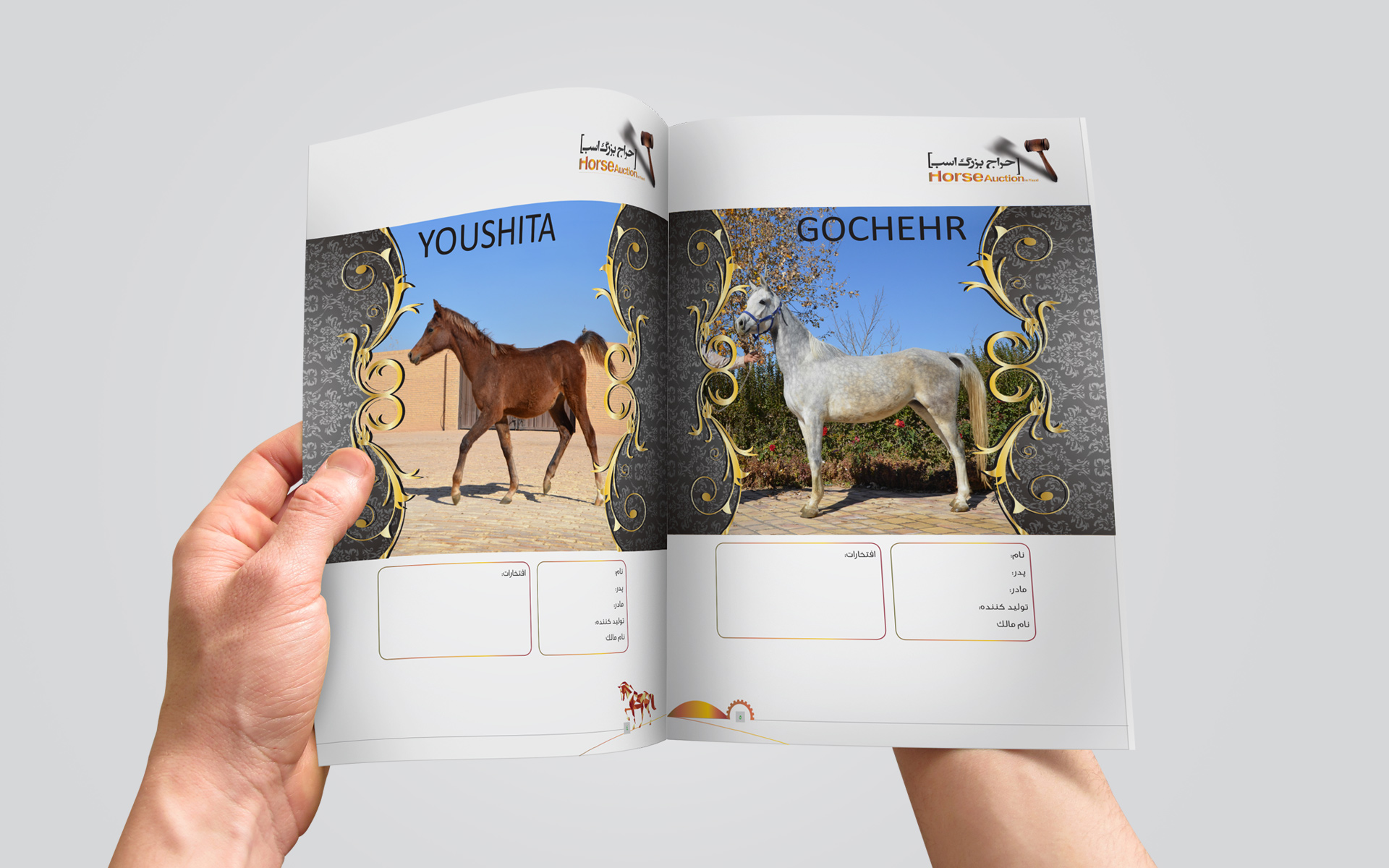 Equineindustry , sepanj studio